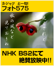 フォト575
