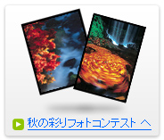 秋の彩りフォトコンテスト
