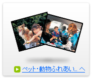 ペット・動物ふれあい写真コンテスト