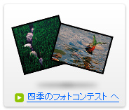四季のフォトコンテスト
