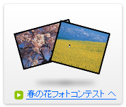 春の花フォトコンテスト