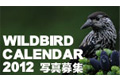 日本野鳥の会「ワイルドバード・カレンダー2012