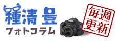 種清豊のフォトコラム