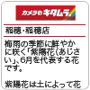店舗ブログ