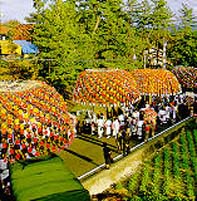 島根県湖陵町・佐志武神社の秋祭り