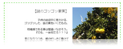 脱力アワ～