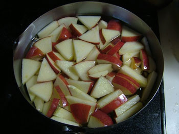 りんごペクチン作り