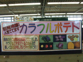 種ジャガイモ売場のポップ