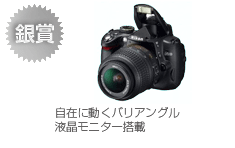 銀賞　D5000