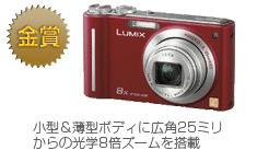 金賞　LUMIX DMC-ZX1