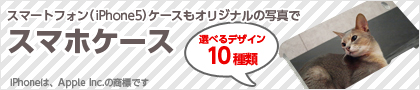 スマートフォン（iPhone5）ケースもオリジナルの写真で