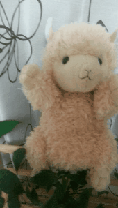 スマートフォンを傾けると一緒に動く不思議な3D写真！