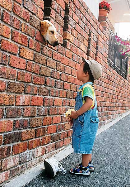 フォトコンテスト フォトコン写真ギャラリー 02年入賞作品 写真現像 フォトブック カメラ販売 キタムラグループ