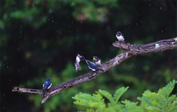 �r�������i�O�����v��