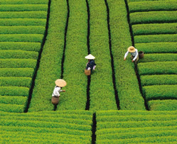 �r�������R�O�����v��