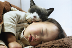 �r���߂��y�b�g�O�����v��