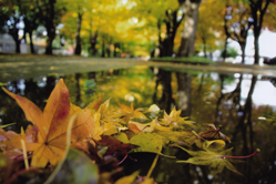 �r���߂����R�O�����v��