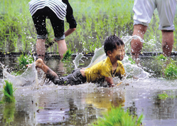 腕だめしこども＆赤ちゃんグランプリ