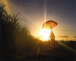 腕だめし自由グランプリ