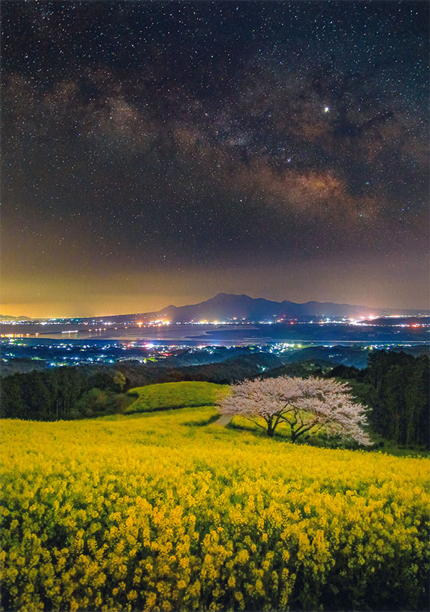 春の風景コース特選