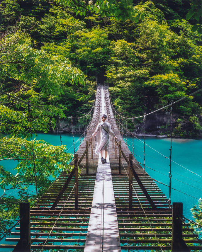 夏の風景コース特選