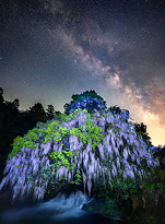 カメラのキタムラ フォトコンテスト 2025 春夏 発表 入選