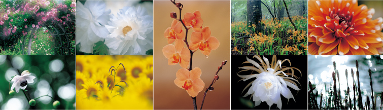 カメラのキタムラはみなさまの作品発表を365日応援しています。