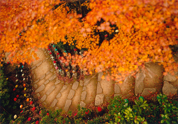 テーマ：秋の風景 作例