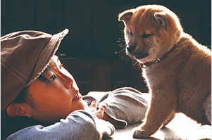 ５ 家族・ペット こどもの成長、赤ちゃん、ペット など