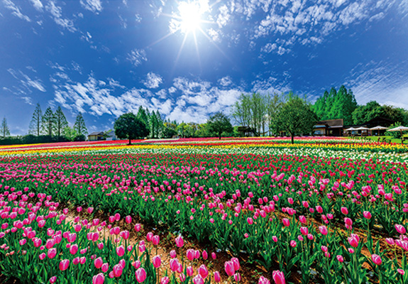 テーマ：１ 春の風景 作例