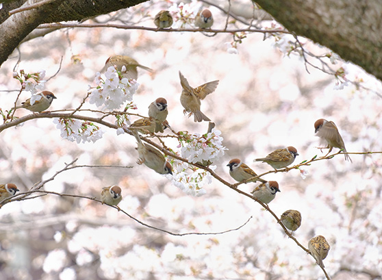 テーマ：動物 作例