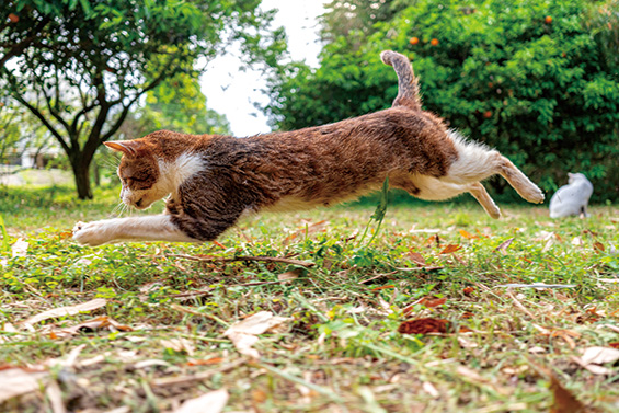 テーマ：家族・ペット 作例