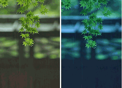 写真のテクニック