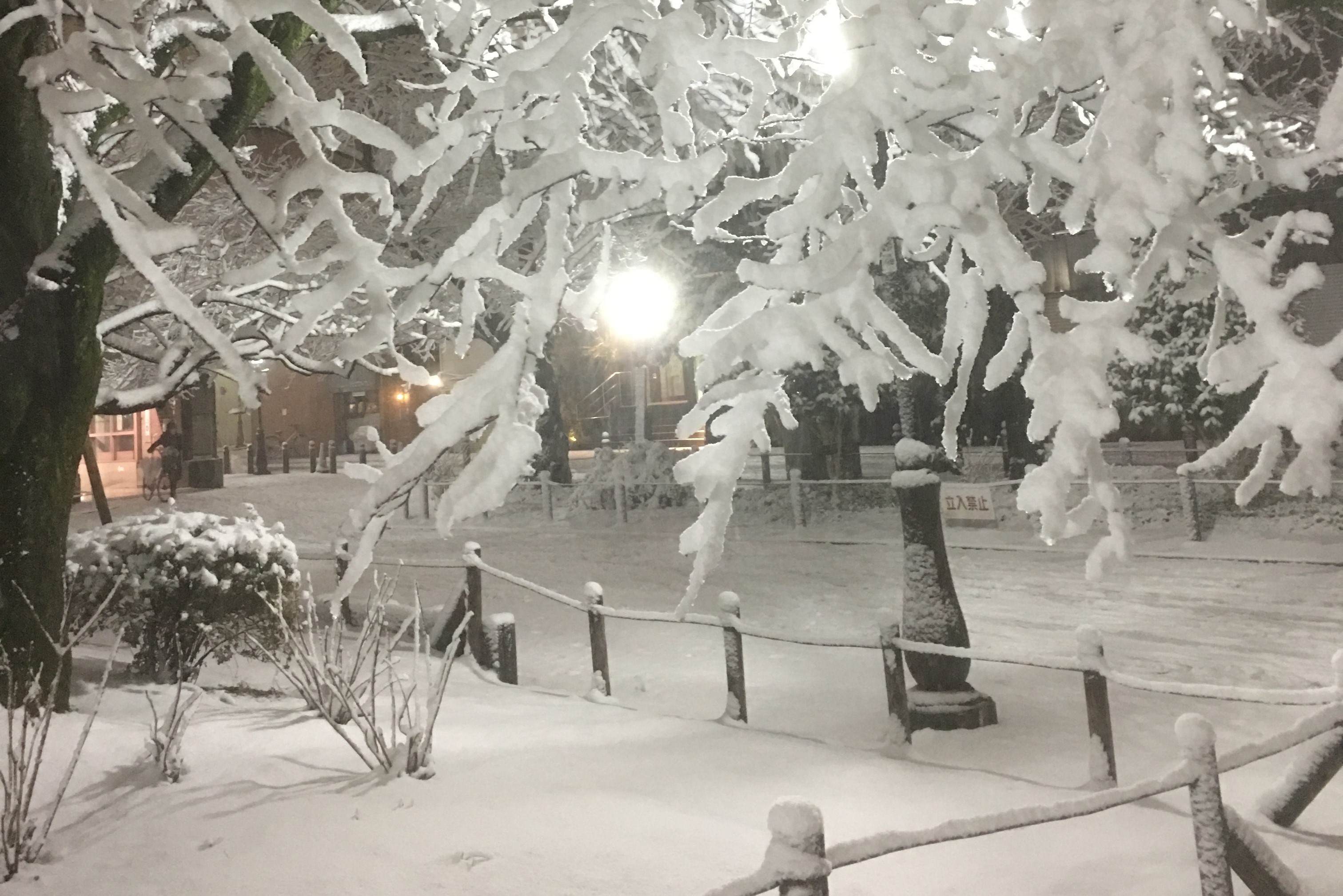 日記 子どものころの雪の思い出 キタムラ公式ブログ カメラのキタムラ 日記 子どものころの雪の思い出 キタムラ公式ブログ カメラのキタムラ