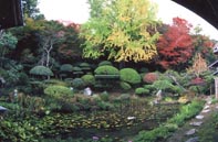 高知県佐川町　恵美須祭