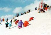 新潟県長岡市・雪しか祭り 