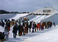 北海道稚内市・ジャパンカップ全国犬ぞり大会