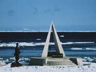 北海道稚内市・ジャパンカップ全国犬ぞり大会