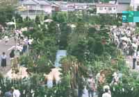 島根県大田市・春の彼岸市