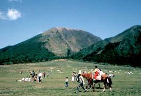 島根県大田市・春の彼岸市