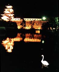 愛媛県今治市・今治城