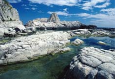 岩手県釜石市・港まつり＆綿津見祭