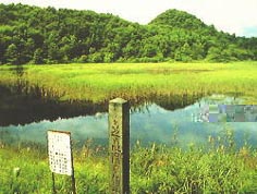 秋田県大館市・大文字まつり