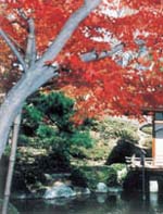 近畿地方・紅葉の名勝地