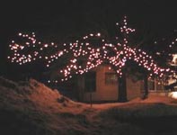 東北地方のイルミネーション