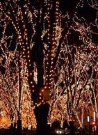 東北地方のイルミネーション