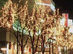 東北地方のイルミネーション