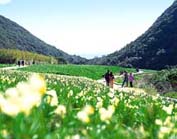 兵庫県洲本市・ねりこ祭り