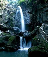 兵庫県洲本市・ねりこ祭り