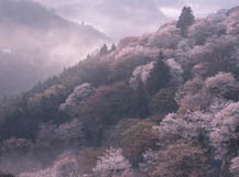 福岡県久留米市・善導寺開山忌